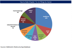 Pie chart showing year to date Chapter 7 & 11 filings by sector